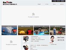 Tablet Screenshot of ampride.cn